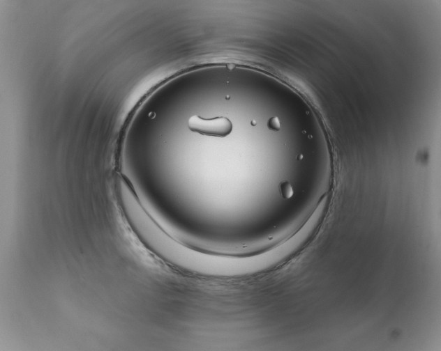 X0000111791138200907301139