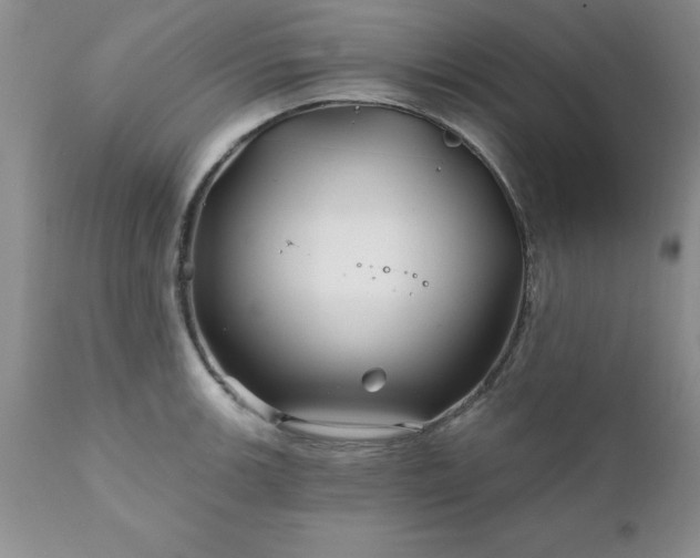 X0000111791139200907301139