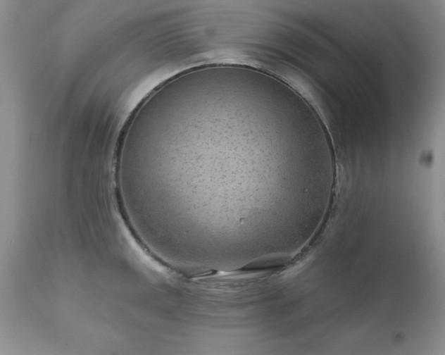 X0000111791141200907301139