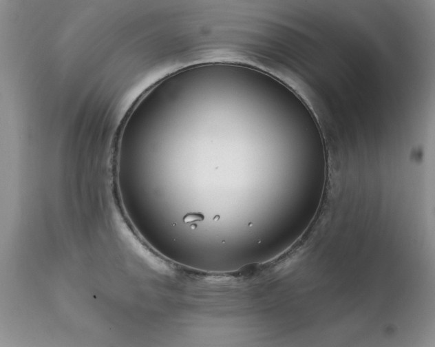 X0000111791142200907301139