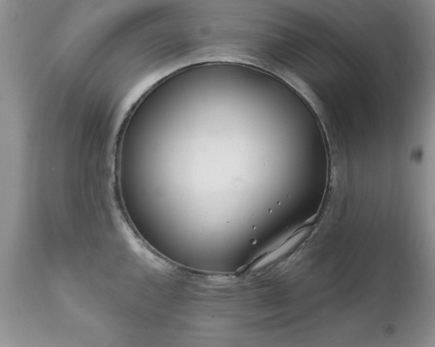 X0000111791144200907301139