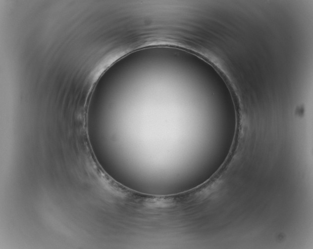 X0000111791145200907301139