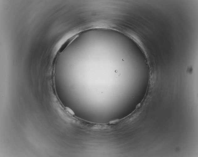 X0000111791146200907301139