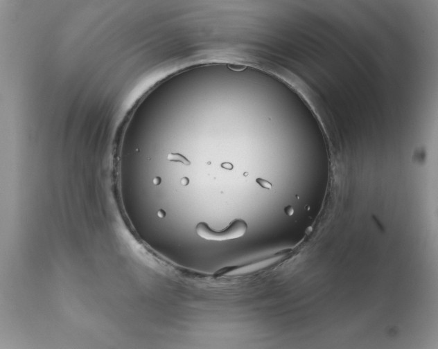 X0000111791147200907301139