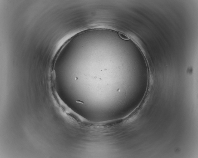 X0000111791149200907301139