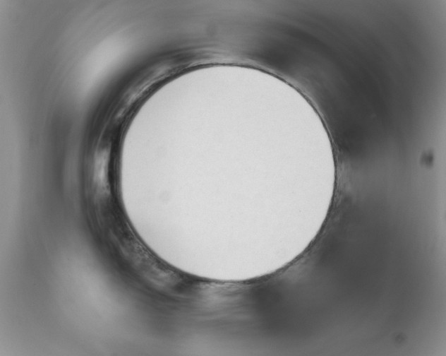 X0000111791150200907301139