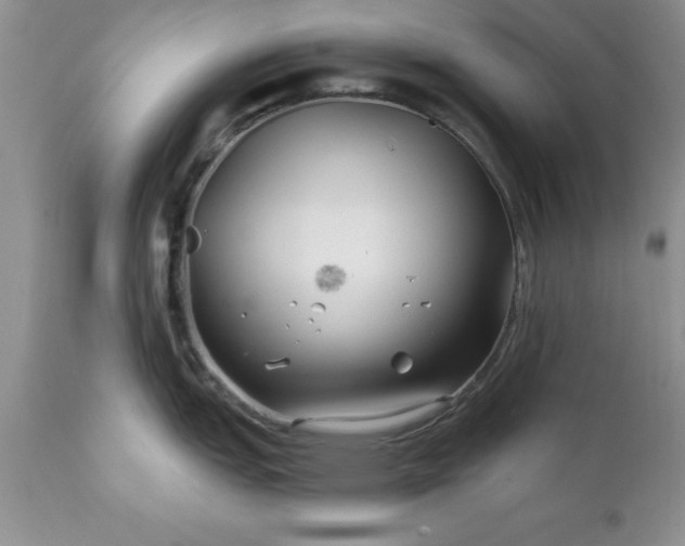 X0000111791151200907301139