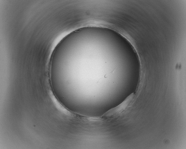 X0000111791152200907301139