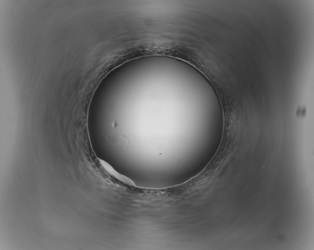 X0000111791153200907301139