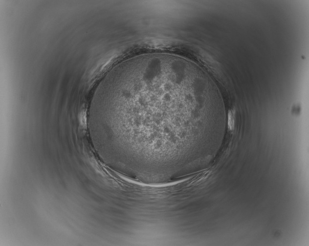 X0000111791155200907301138