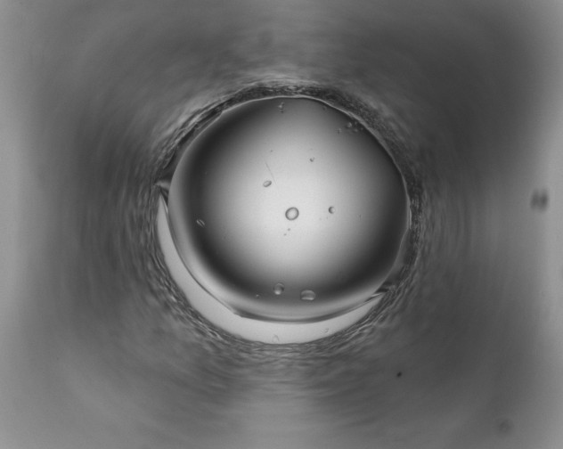 X0000111791157200907301138