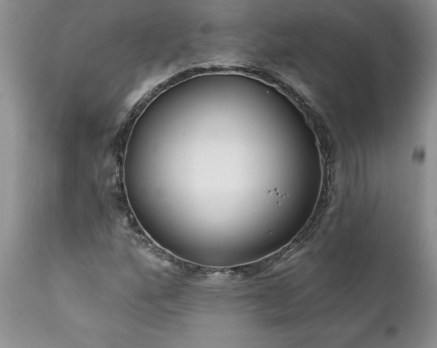 X0000111791160200907301138