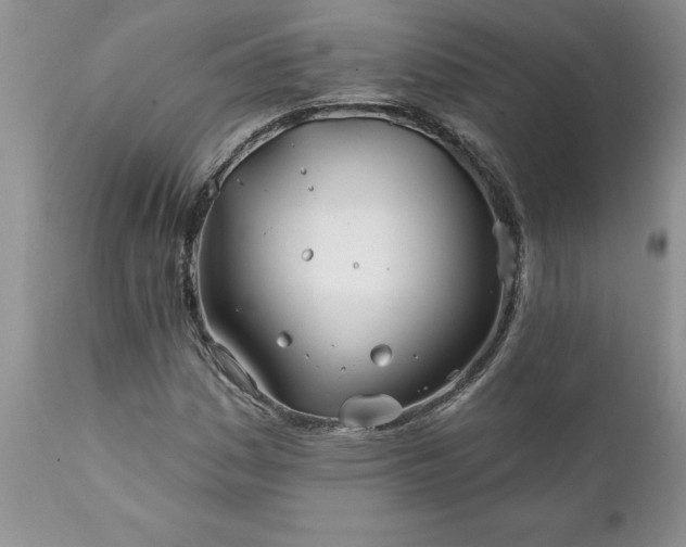 X0000111791161200907301138