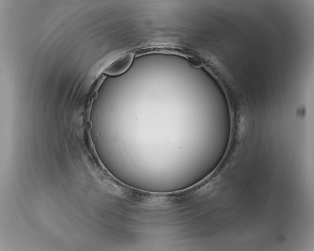 X0000111791162200907301138