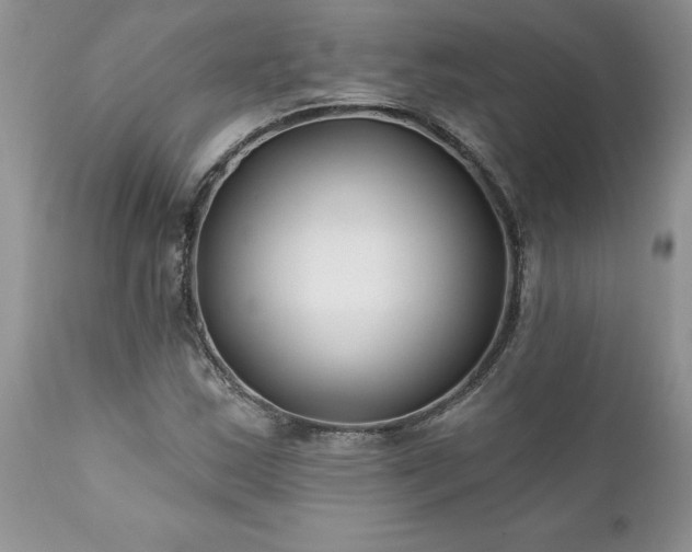 X0000111791163200907301138