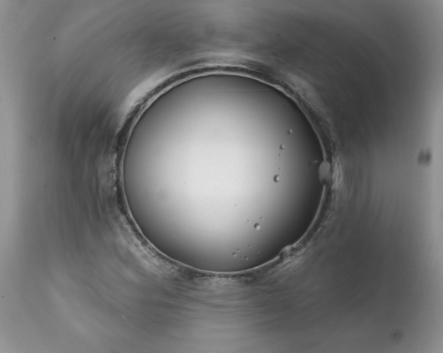 X0000111791164200907301138