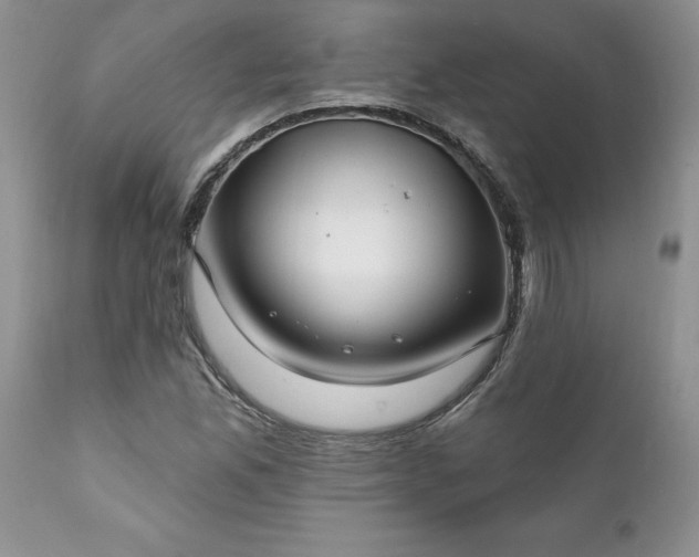 X0000111791165200907301138