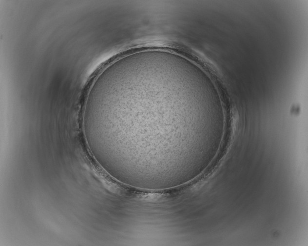 X0000111791166200907301138