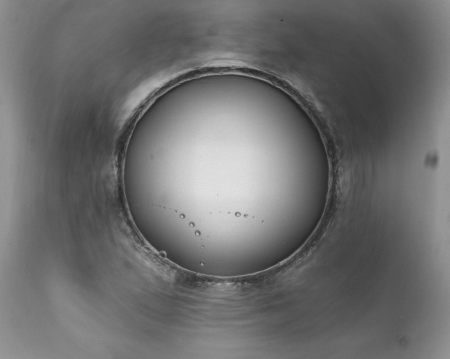 X0000111791167200907301138