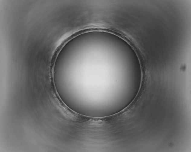 X0000111791168200907301138