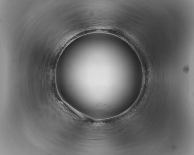 X0000111791169200907301138