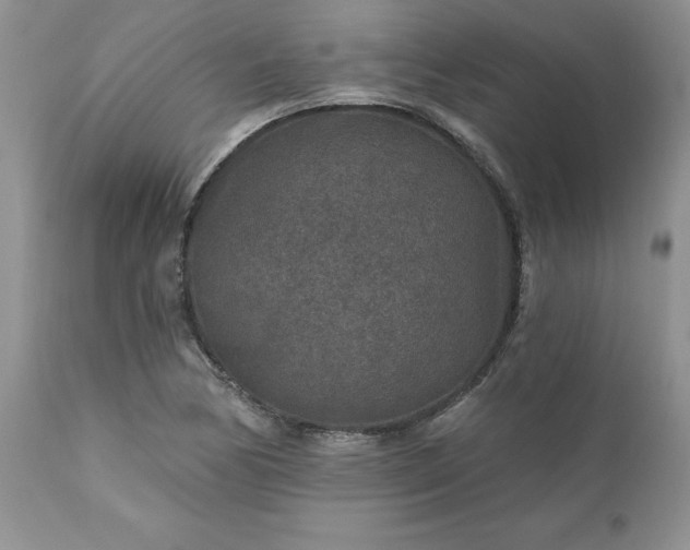 X0000111791170200907301138