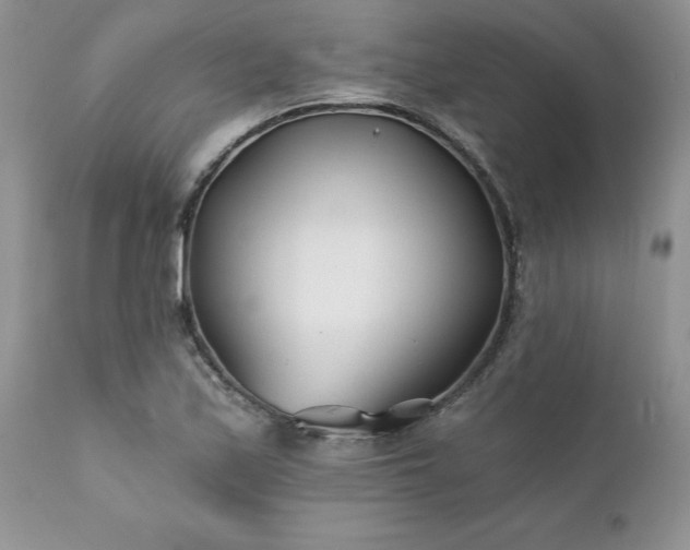 X0000111791171200907301138