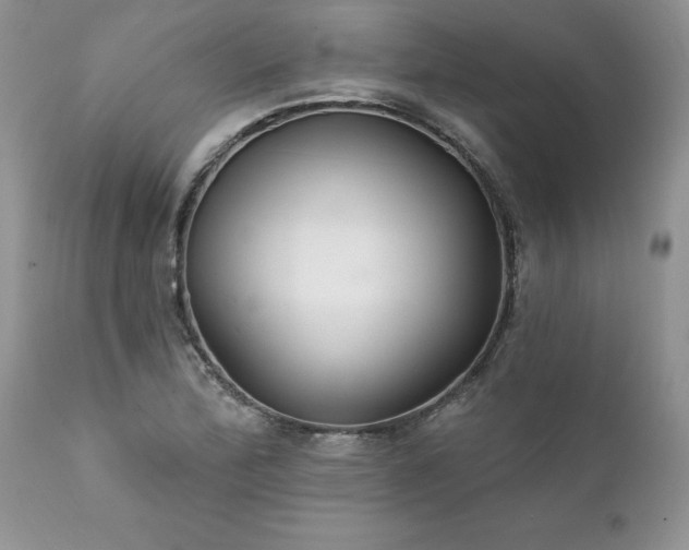 X0000111791172200907301138