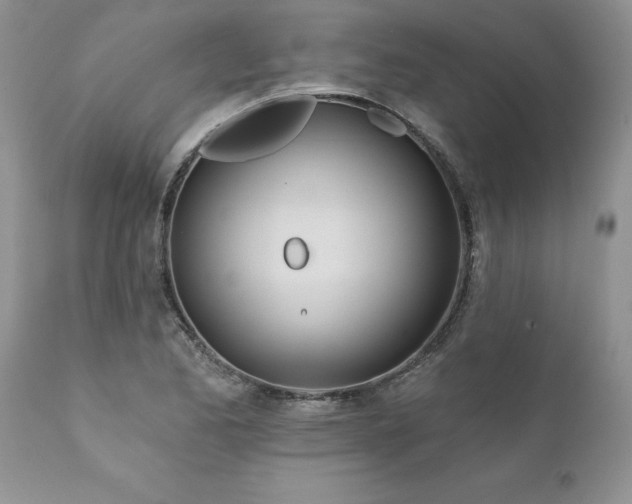 X0000111791173200907301138