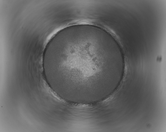 X0000111791174200907301138