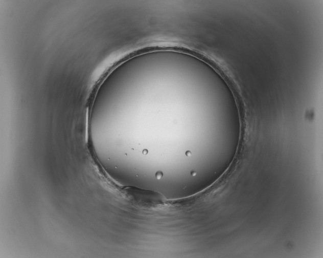 X0000111791175200907301138