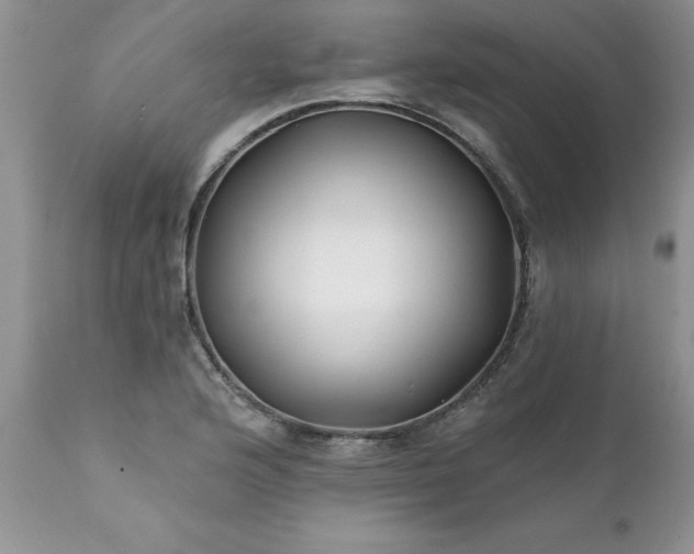 X0000111791176200907301138