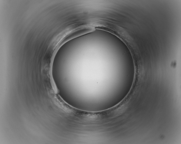 X0000111791177200907301138