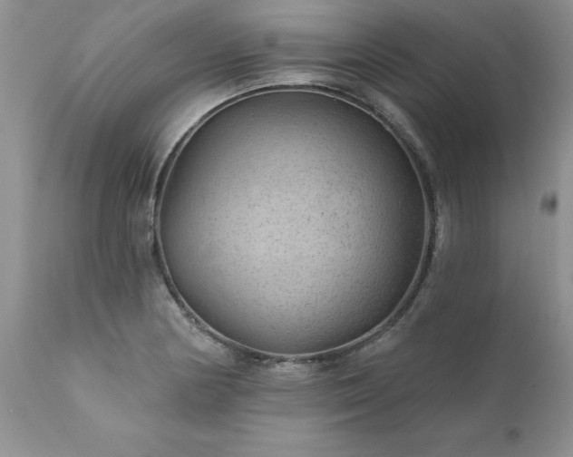 X0000111791178200907301138