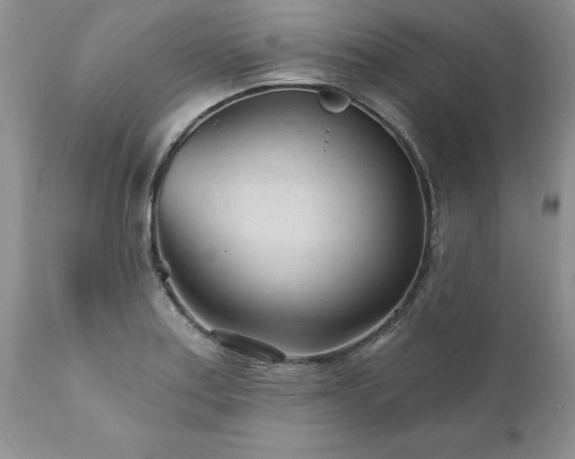 X0000111791179200907301138