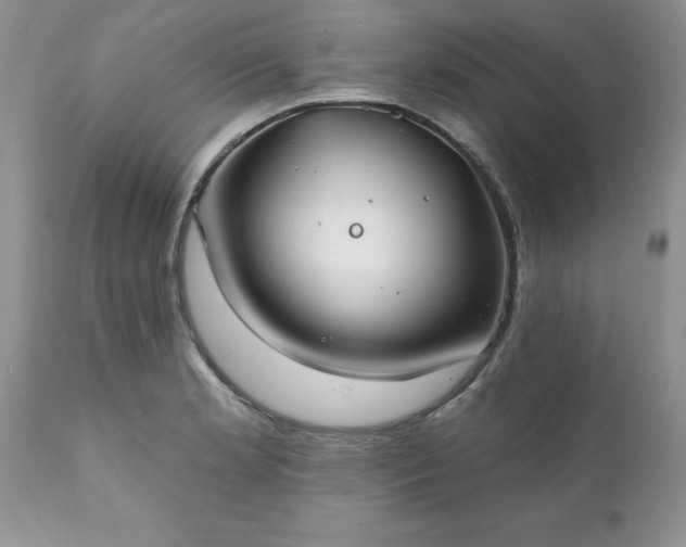 X0000111791181200907301138