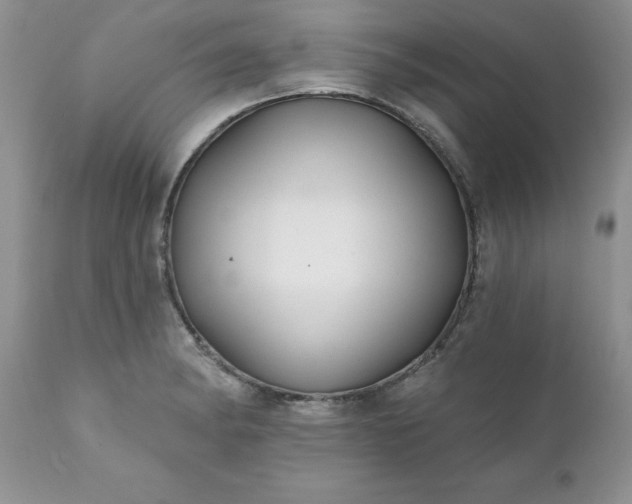 X0000111791182200907301138