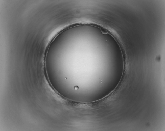 X0000111791183200907301138