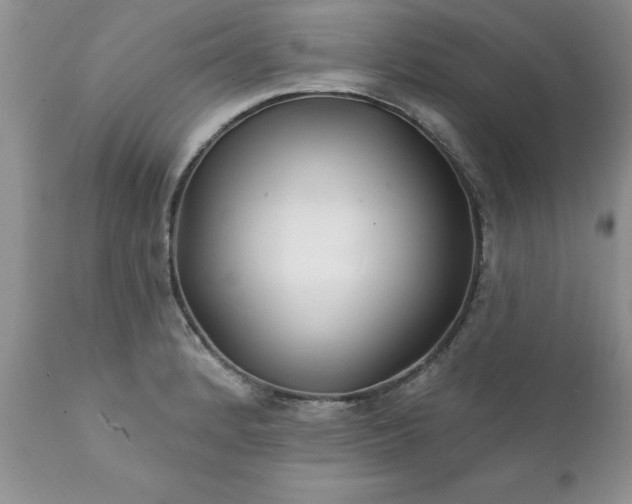 X0000111791184200907301138