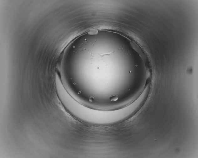 X0000111791185200907301138