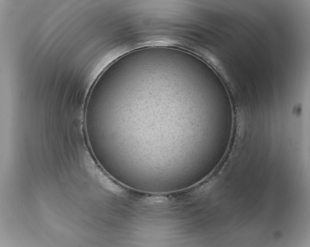 X0000111791186200907301138