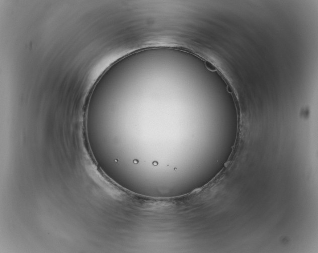 X0000111791187200907301138