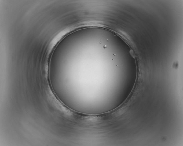 X0000111791188200907301138