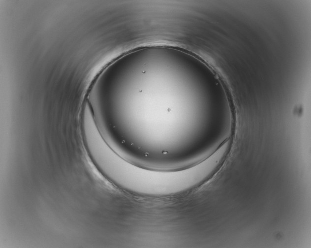 X0000111791189200907301138