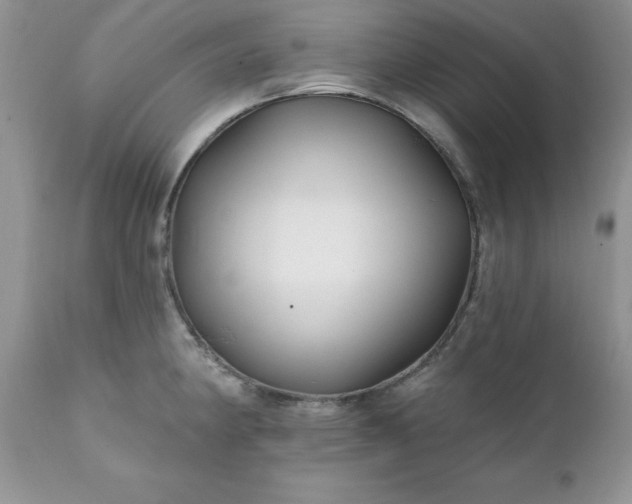 X0000111791190200907301138