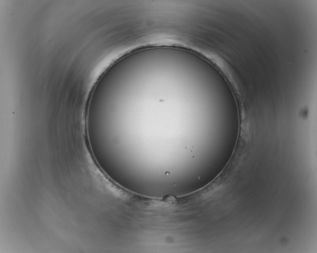 X0000111791191200907301138