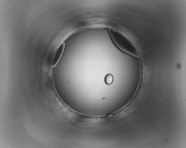 X0000111791193200907301138