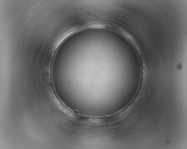 X0000111791194200907301138