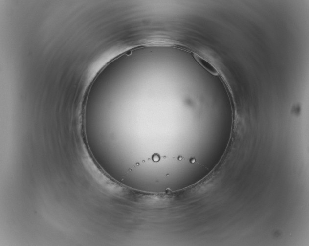 X0000111791195200907301138