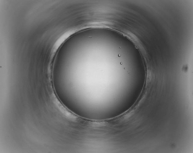 X0000111791196200907301138